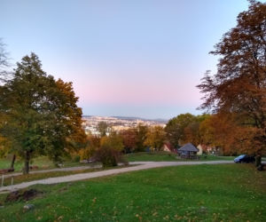 Złota jesień na kieleckiej Karczówce. Aż chce się iść na spacer!