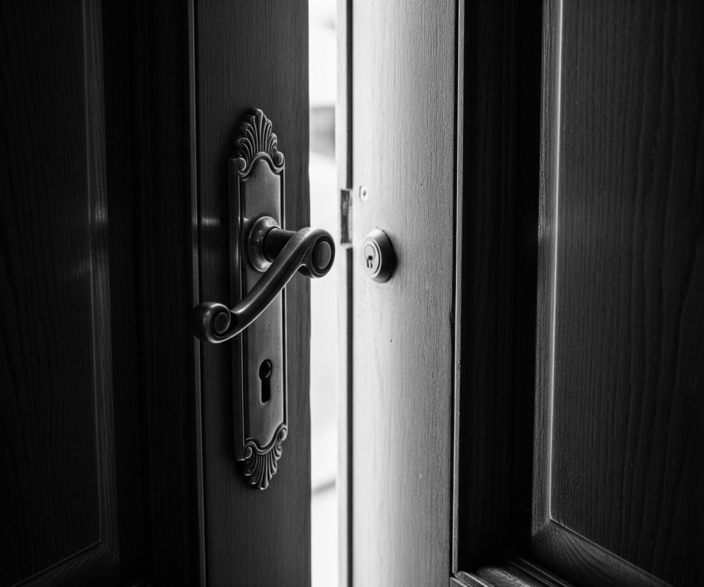 Uchylone drzwi są głównym elementem monochromatycznego obrazu, otwierając się na jasną przestrzeń z prawej strony. Lewa strona ukazuje ciemne wnętrze pokoju, z widoczną fakturą drewna. Na drzwiach, tuż obok krawędzi, znajduje się klasyczna, zdobiona klamka z kluczem, a po prawej stronie, na futrynie, widoczny jest okrągły zamek z włożonym kluczem.