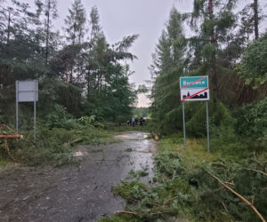 Burza w Borowcach