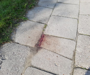 Zabił Filipa bo chciał się wyżyć