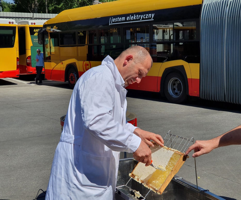 Zajezdnia Stalowa pasieką? MZA zebrało już pierwszy miód