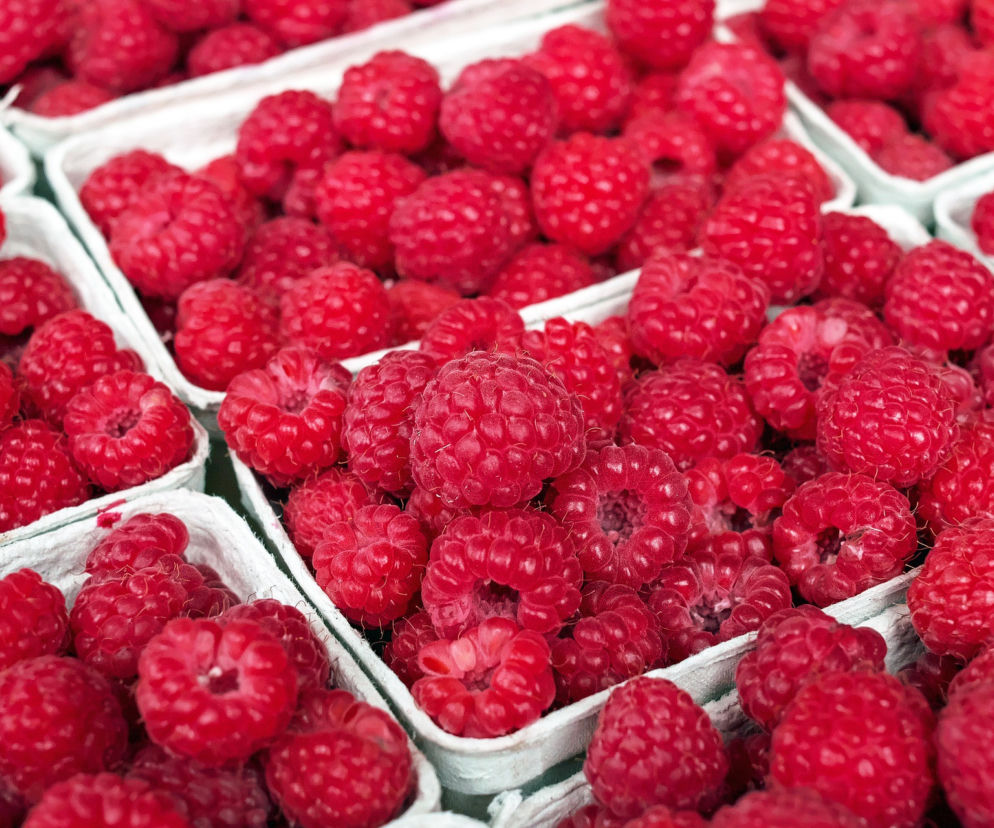 maliny