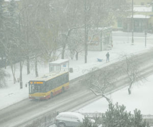 Specjalne autobusy wyjadą na ulice. W nocy są bezpłatne