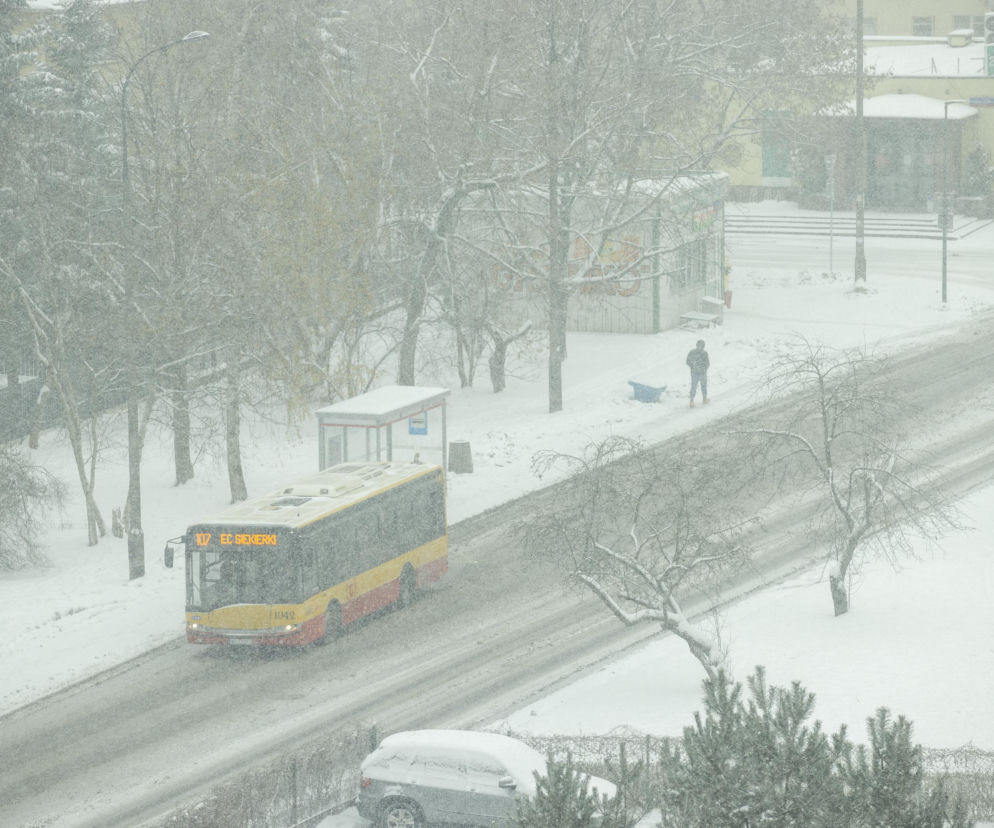 Specjalne autobusy wyjadą na ulice Warszawy. W nocy są bezpłatne