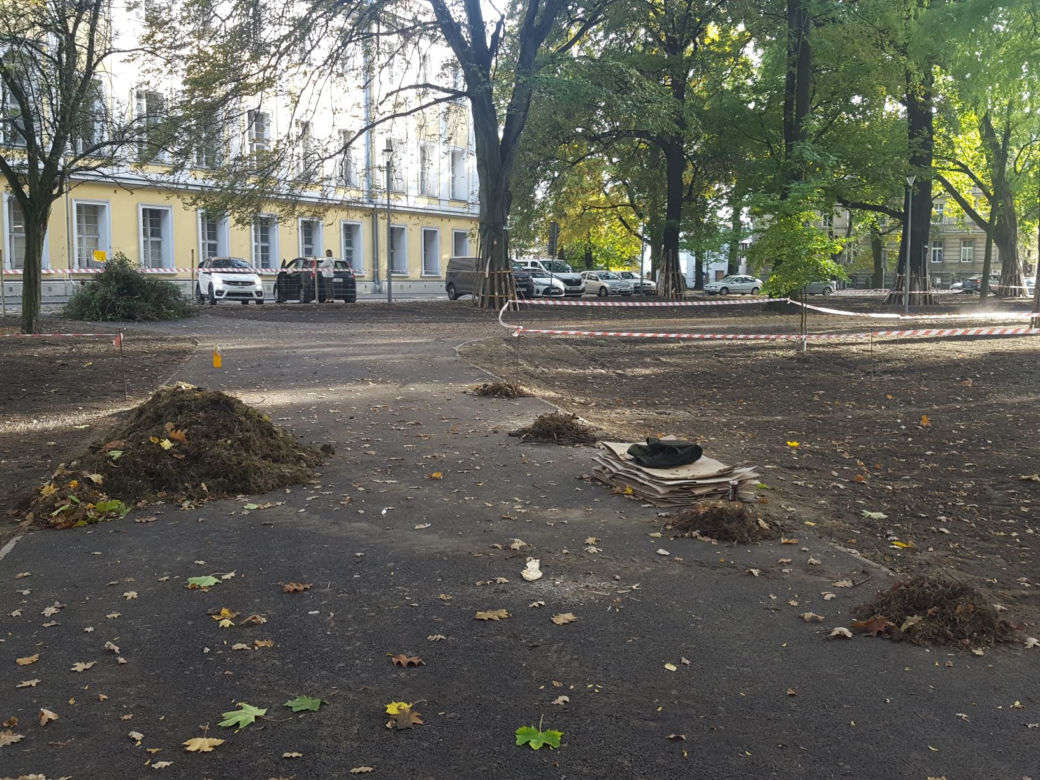 W Parku Kościuszki w Lesznie kwitnąć będą krokusy