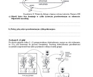 Arkusz biologia rozszerzony matura 2014