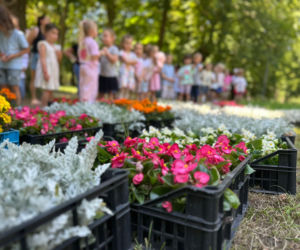 Przedszkolaki z SP 34 ukwieciły Park Miejski w Kielcach