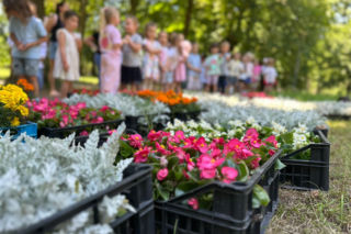 Przedszkolaki z SP 34 ukwieciły Park Miejski w Kielcach