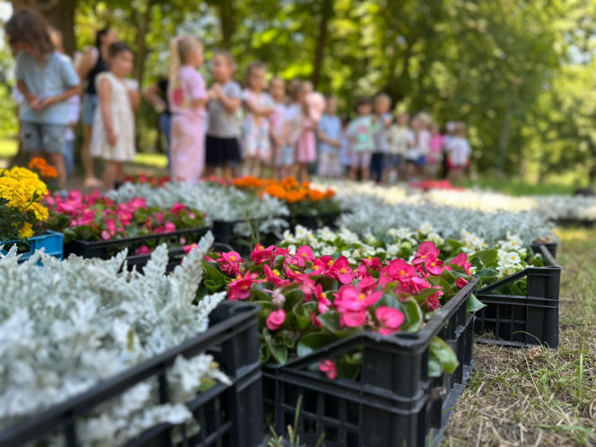 Przedszkolaki z SP 34 ukwieciły Park Miejski w Kielcach