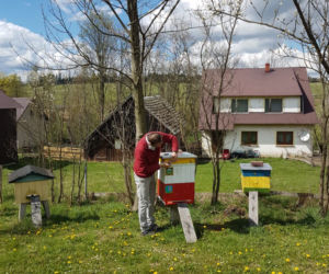 Pszczoły to moja rodzina