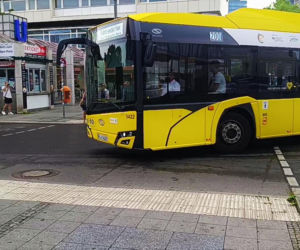 Transport publiczny w Niemczech