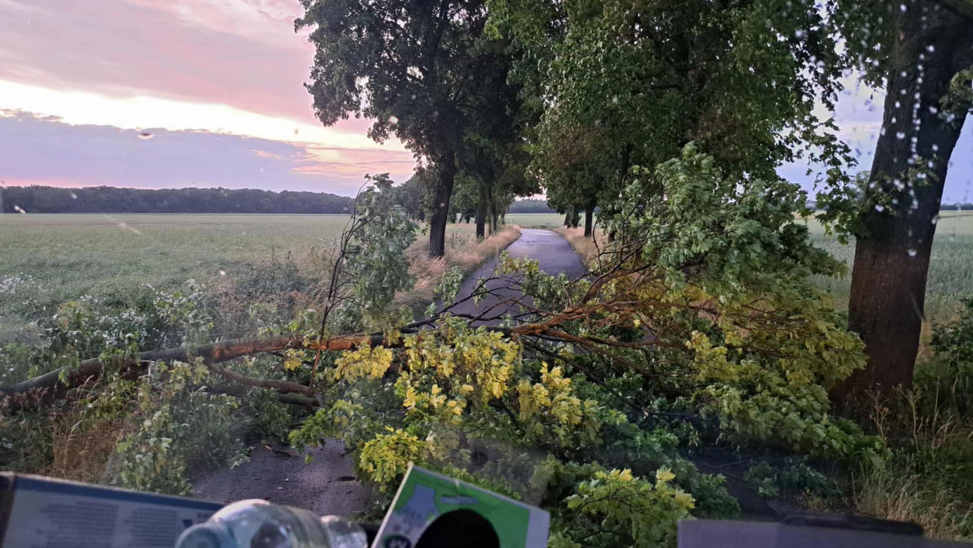 Burze nawiedziły województwo kujawsko-pomorskie. Zdjęcia z akcji strażaków