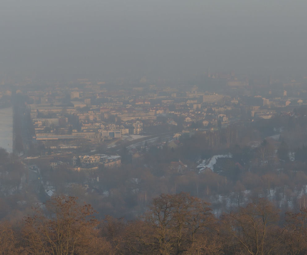 Widok z kopca Kościuszki