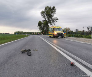 Rozjechał motocyklistę, powiesił się w lesie