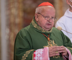 Czy Dziwisz mógł oszukać papieża?