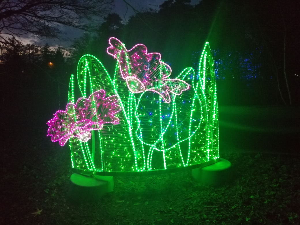 Park Iluminacji w Poznaniu