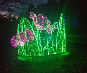 Park Iluminacji w Poznaniu