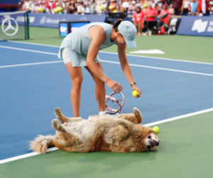 Iga Świątek w zabawie z psem po finale WTA Toronto