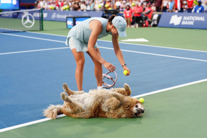 Iga Świątek w zabawie z psem po finale WTA Toronto