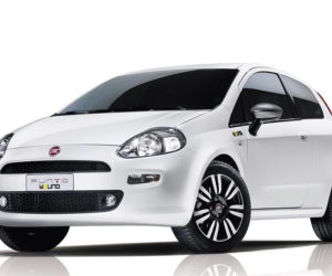 Fiat Punto Young