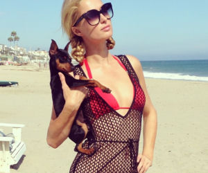 paris hilton