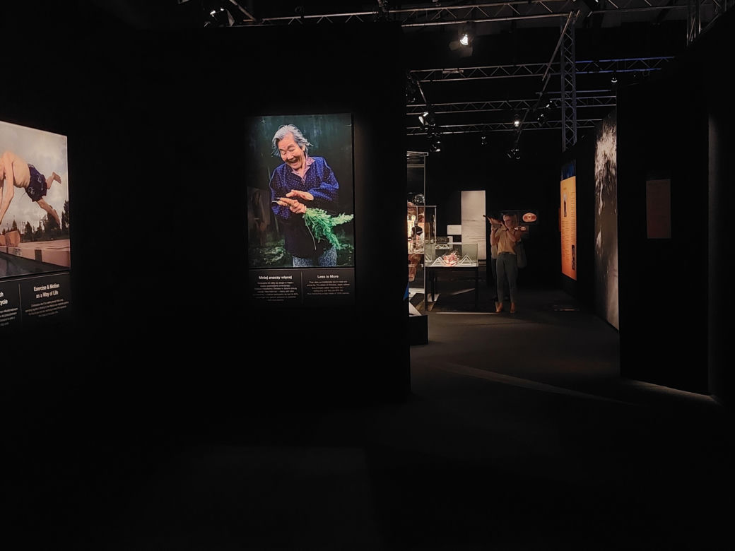 Wystawa Body Worlds w Szybie Wilson w Katowicach