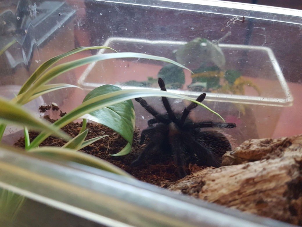 Lekcja przyrody w Zielonej Klasie w Mini ZOO w Lesznie