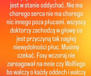 Doda walczy o zdrowie swojego psa