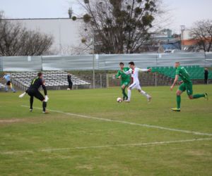 Warta Poznań - GKS Tychy 1:1