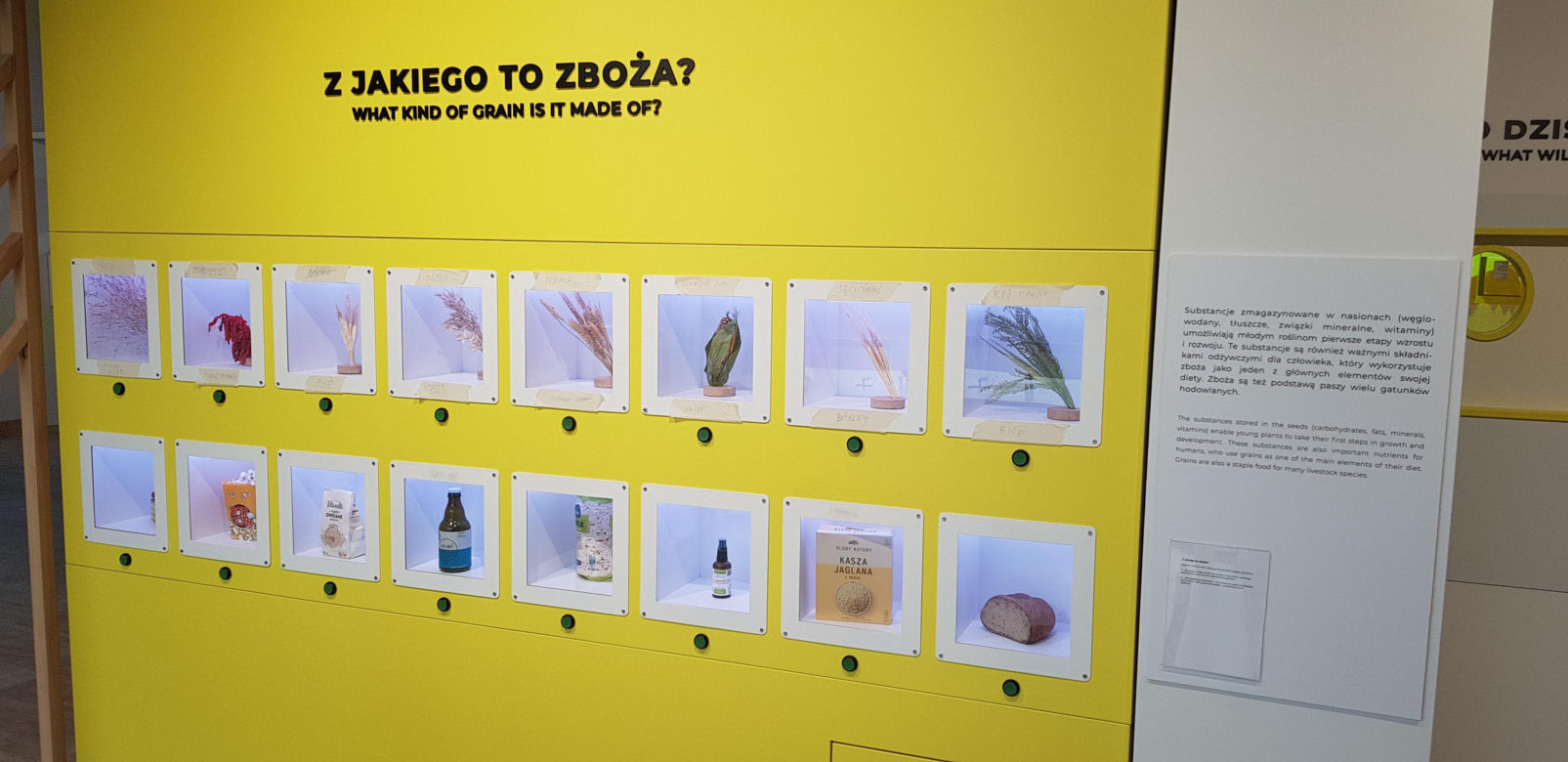 Otwarcie Centrum Nauki Kortosfera w Olsztynie. Bilety już dostępne! Ile kosztują?