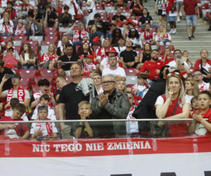 Kibice na meczu Polska-Nigeria