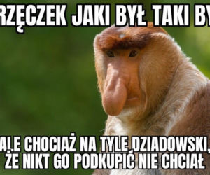 Paulo Sousa chce odejść z reprezentacji! Internet nie ma litości!