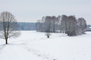Ferie 2026 Mazowsze. Gdzie uciec od zgiełku miasta?