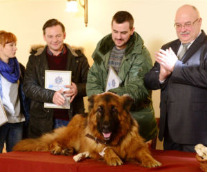 Komisarz Alex odc. 91, Michał Orlicz (Antoni Pawlicki), Ryszard Puchała (Ireneusz Czop), Lucyna (Magdalena Walach)