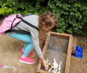Mali archeolodzy zakasali rękawy i zabrali się do pracy! Co znaleźli w bydgoskim zoo? 