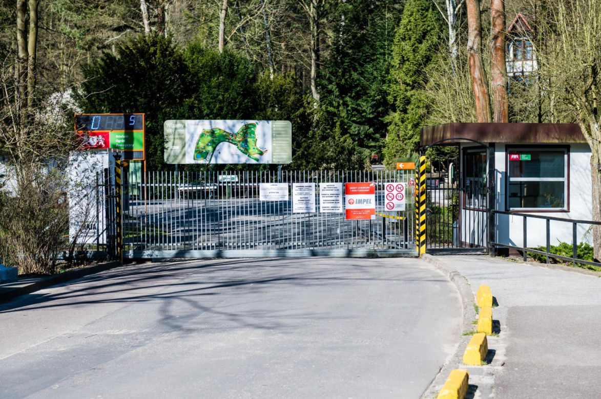 Koronawirus w Trójmieście. ZOO zamknięte na czas kwarantanny