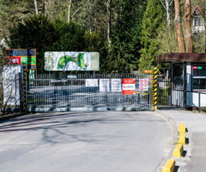 Koronawirus w Trójmieście. ZOO zamknięte na czas kwarantanny