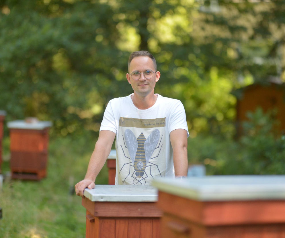 Miód się skrystalizował? Prof. Paweł Migdał wyjaśnia, co to naprawdę oznacza