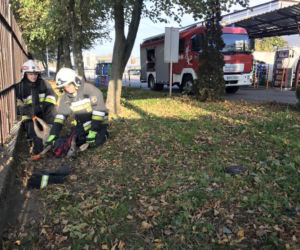 Nietypowy gość strażaków