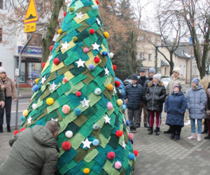 Dziargana choinka w Kościanie