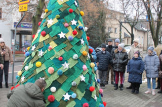 Dziargana choinka w Kościanie