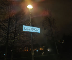Oryginalna wystawa w Parku Centralnym w Olsztynie [ZDJĘCIA]