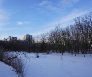 W tym miejscu 35 lat temu otworzono pierwszy supermarket w Warszawie