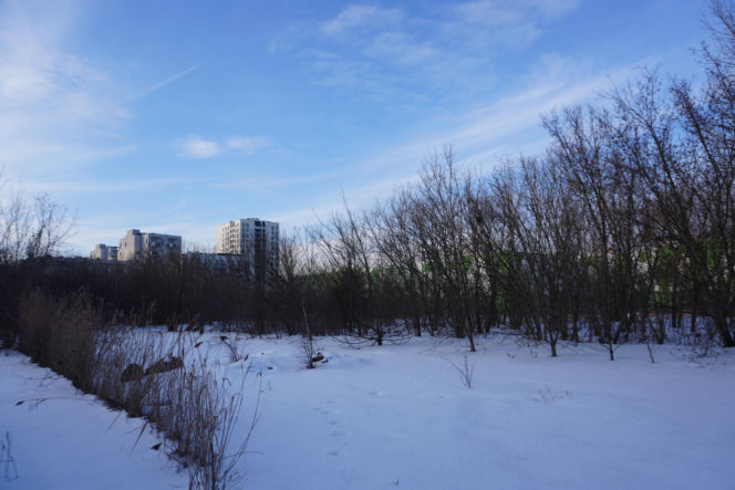 W tym miejscu 35 lat temu otworzono pierwszy supermarket w Warszawie
