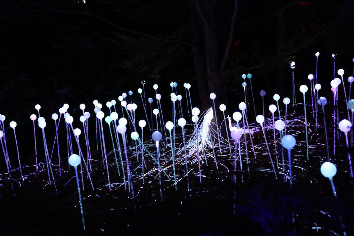 Lumina Park 2023 w Lublinie