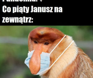 Memy o koronawirusie