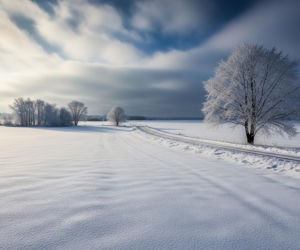 Ostatnia tura ferii mroźna. Gdzie spodziewać się najniższych temperatur?