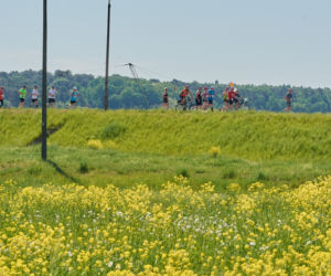 6. Maraton Lubelski. Pokonali królewski dystans! Zobaczcie zdjęcia!