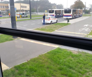Tramwaje wróciły na górny taras Bydgoszczy! Czy na stałe? [WIDEO, ZDJĘCIA] 