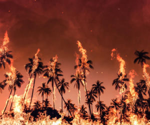 Nagrał tajemnicze słowa pani burmistrz, chodzi o pożary. Czytaj między wierszami